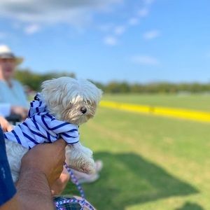 Meet your Posher, Nancy